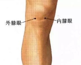 60岁以后膝盖软骨磨到只剩一半 记住6个“一”护好膝
